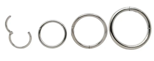 Hinged Segment Ring - 18g - 7mm